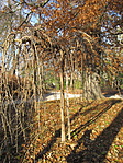 IMG_6504