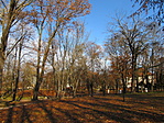 IMG_6505