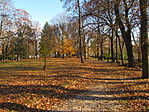 IMG_6506
