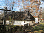 IMG_6517