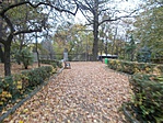 DSCN0277
