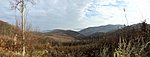IMG_0478