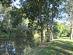 IMG_2896