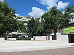 IMG_2913