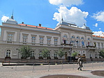 IMG_2917