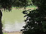 IMG_2974