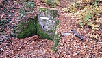 20161030_112555