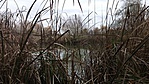 20161105_095944