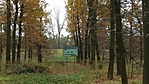 20161105_112909