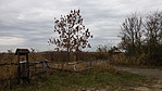 20161105_121420