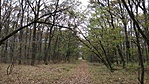 20161105_122139