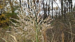 20161105_133721