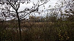 20161105_143854