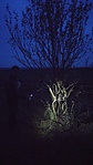 20161105_164601
