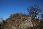 IMG_5444