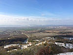 IMG_0939