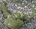 SAM_0336b