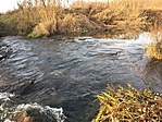 IMG_4662
