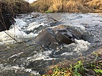 IMG_4664