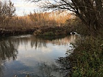 IMG_4666