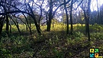geo_vasarnap_0032
