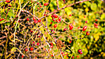 20160930_174923