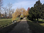 IMG_20161104_121112