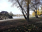 IMG_20161104_121517