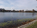 IMG_20161104_121836