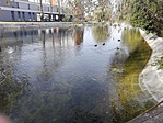 IMG_20161104_122211