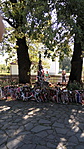 IMG_20160711_090939