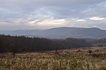 DSC05049