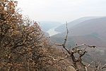 IMG_5148