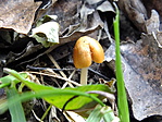 DSCF4784