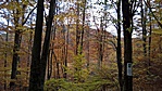 WP_20161030_13_55_49_Rich_LI