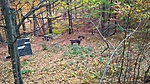 WP_20161030_13_51_14_Rich_LI