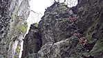 WP_20161127_10_22_23_Rich_LI