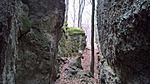 WP_20161127_10_22_18_Rich_LI