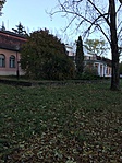 IMG_0064