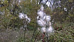WP_20161101_12_50_14_Pro[1]