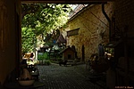 HER_0108_tn