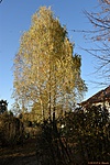 Bakonygyirót_12_tn