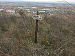 IMG_7621