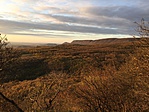 IMG_7786