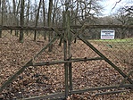IMG_7847