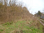 20161120-090756-P
