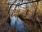 20161113_135538