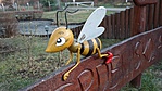 SAM_2054R