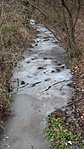 SAM_2065R