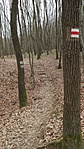 SAM_2077R